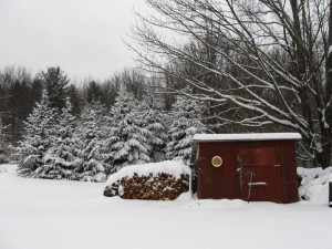 woodshed-in-winter1